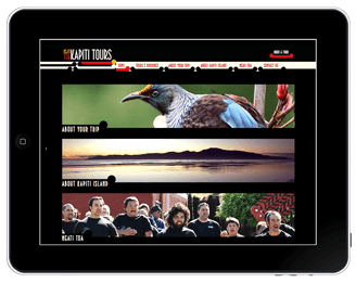 Web Design, Wellington, Build a Website NZ